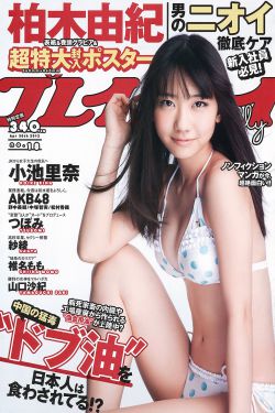 告密者电视剧全集免费观看完整版